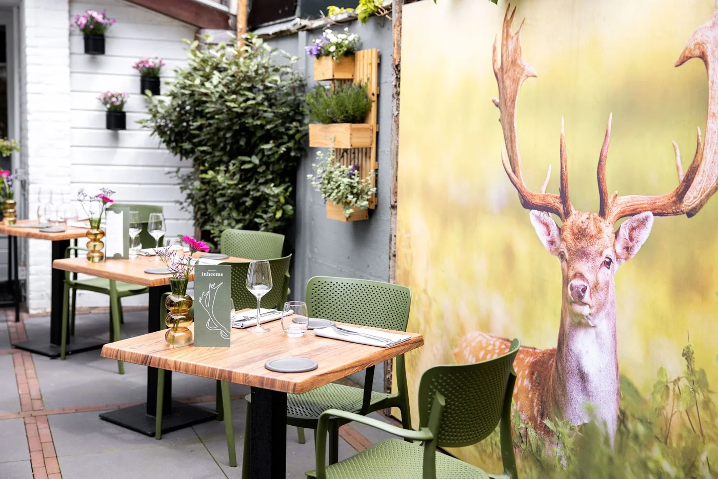 Foto 1